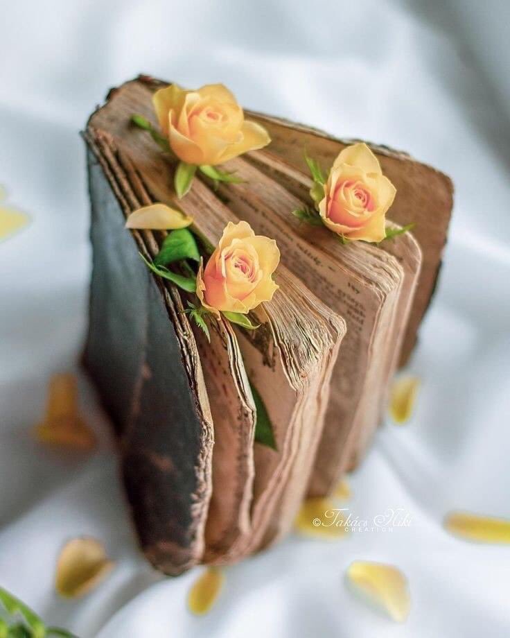 เค้าว่ากันว่า ...การชอบหนังสือสักเล่ม ไม่ได้หมายความว่า หนังสือเล่มนั้น เนื้อหาดีทุกหน้า เช่นเดียวกัน การรู้สึกดีกับใครสักคน ไม่จำเป็นว่าเขาต้องไม่มีข้อเสียอะไรเลย  ☺️📖 

สวัสดีวันทำงานค่ะ ☺️