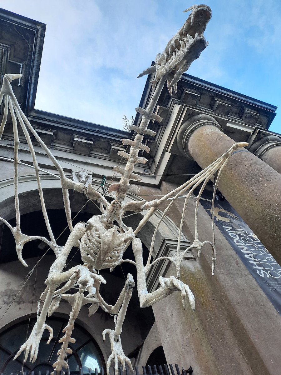 bollyoo's tweet photo. @corkartlink We visited a bit earlier in the evening, still magical 🖤 https://t.co/0XN3NZCiCw