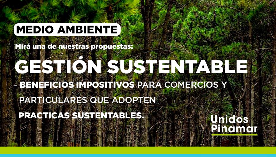 UnidosPinamar's tweet photo. Desde #UnidosPinamar, siempre remarcamos la importancia de adoptar practicas sustentables. Por esa razón, proponemos beneficios impositivos para aquellos que colaboren en el cuidado del medio ambiente.
Mira nuestra propuesta en 👉 https://t.co/qmERep2zHg https://t.co/71Diq9QA4F