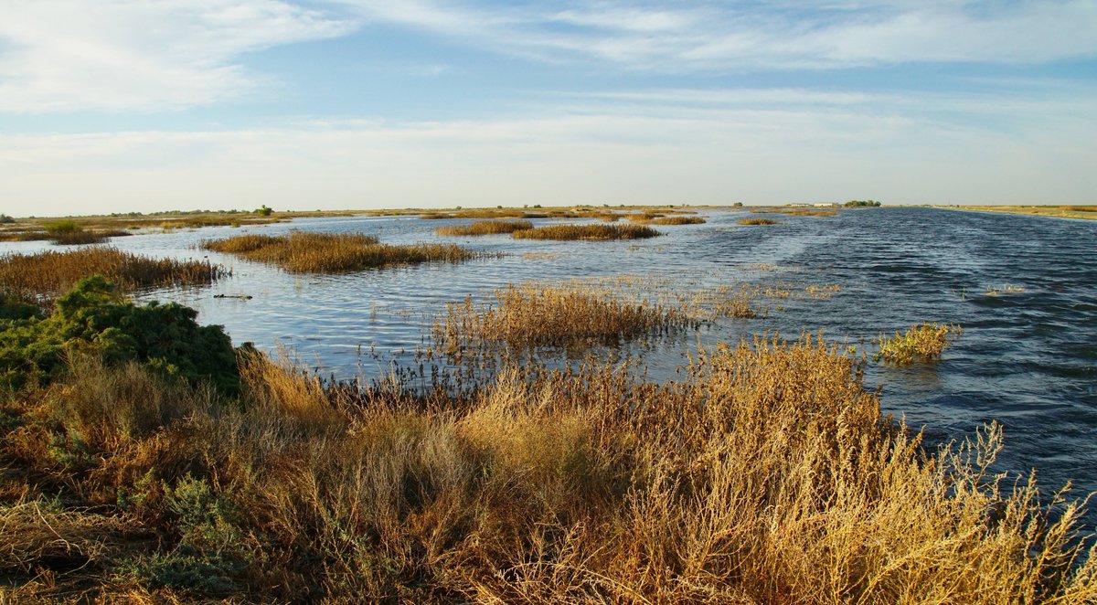 Hart4Nature's tweet photo. Last week to apply for the #ProjectManager position on my team at @Conserve_CA! Deadline Nov. 8th, 8:59pm PST. Please share with your networks!!
https://t.co/VOIaH3aBNr

#cawater #watertwitter #naturejobs #conservationjobs https://t.co/ROGdPLipmG