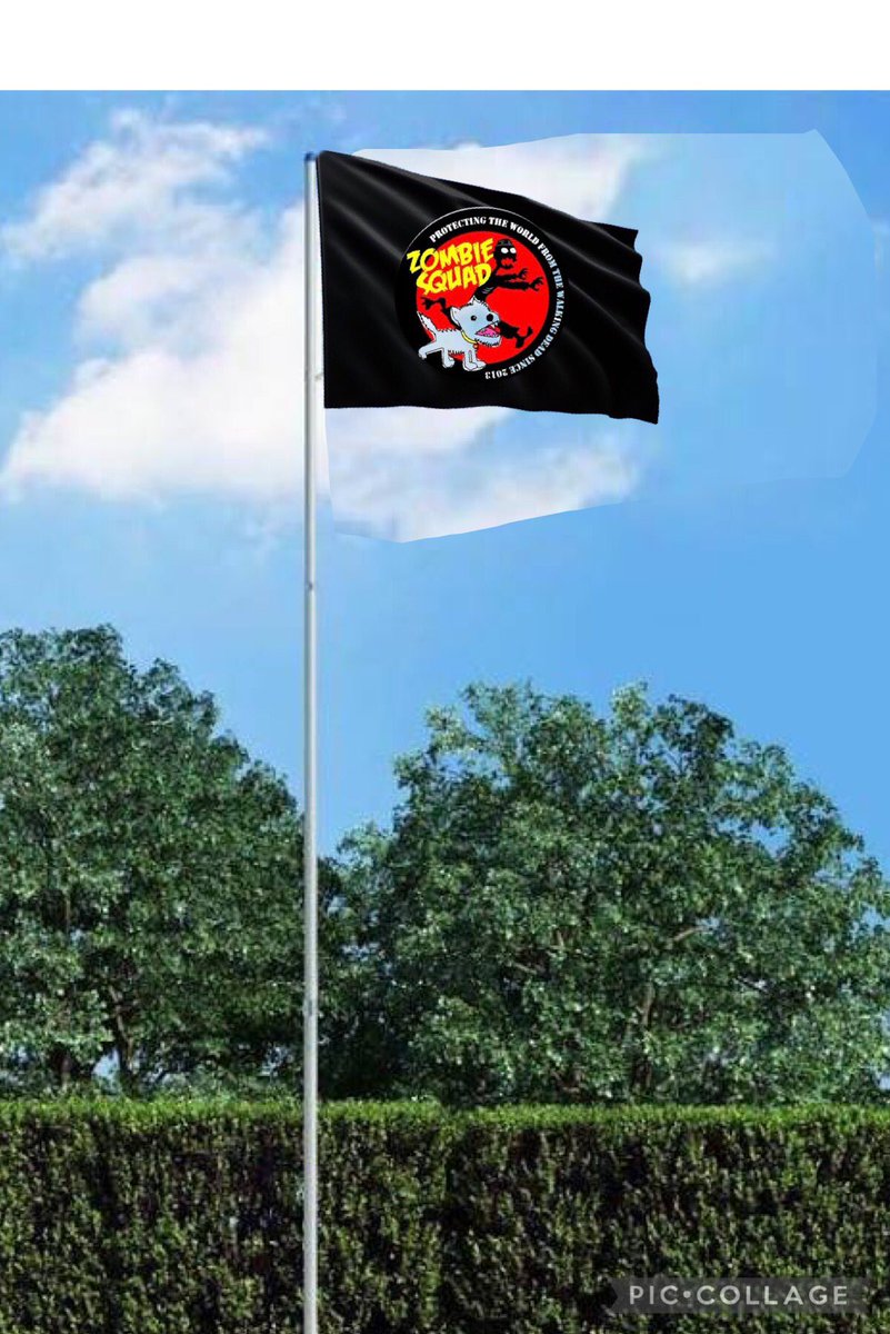 SiriusWhite14's tweet photo. @angelcptbarney @1gingerbeauty @BeagleGinger @ZombieSquadHQ @brian_blackcat @MoochYorkie @MillieOTLFP @owa_bob Nite orl *lowers #SSHQ flag, salutes* https://t.co/iLJibMC95I