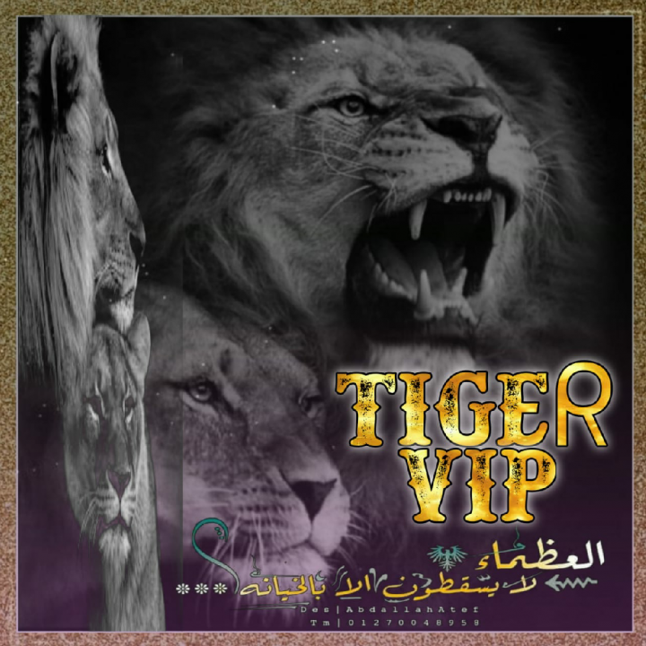 Tiger14282177's tweet photo. تعالوا انضموا الي > حبيبي يا واحشني يا 😞 #BIGOLIVE  https://t.co/2lY79i2w48 https://t.co/fepLRdGiLE