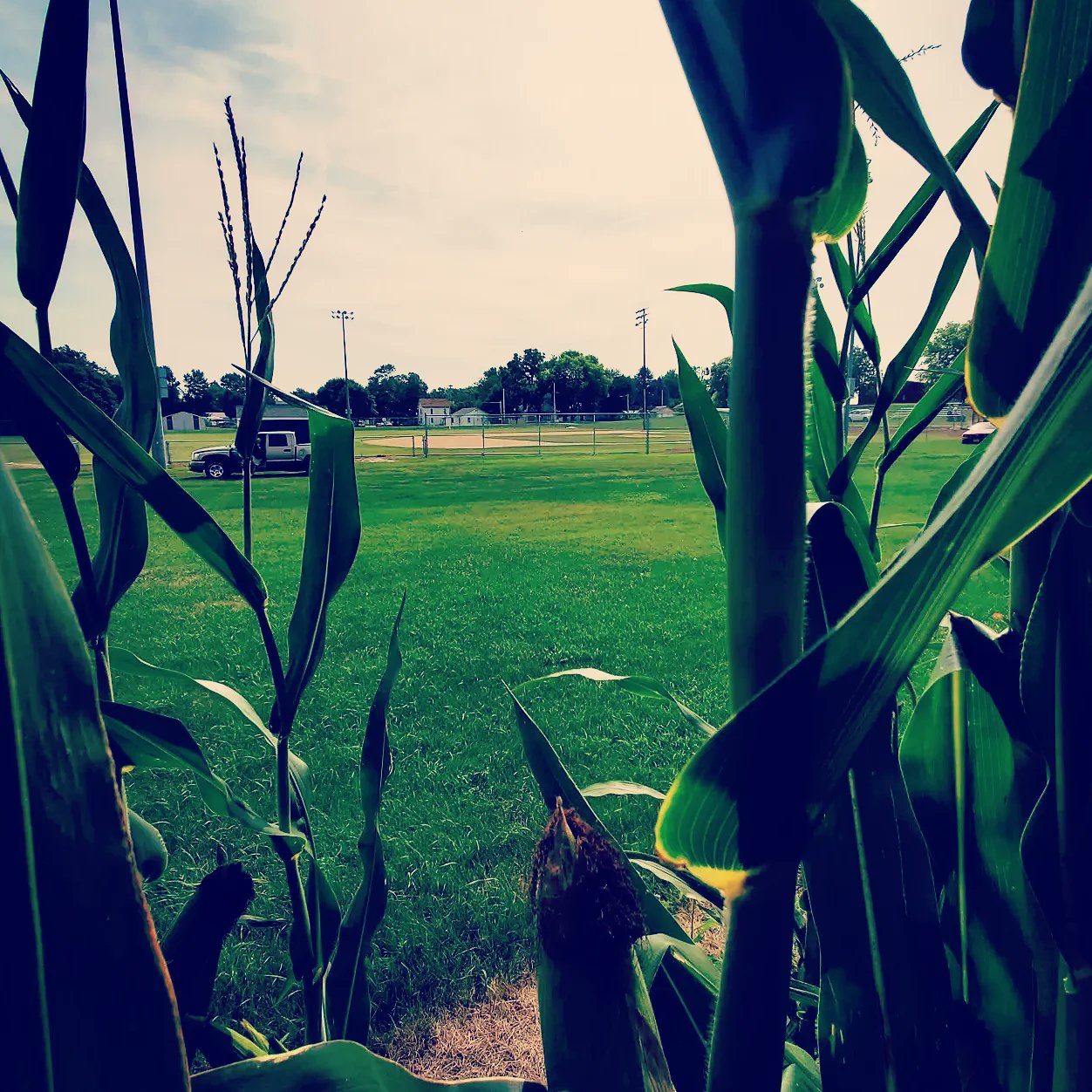 Rippey_baseball (Rippey_Baseball) / Twitter