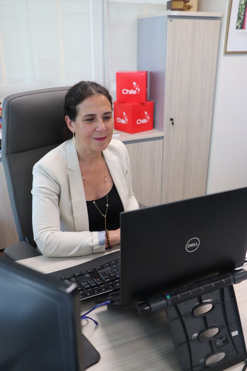 Sernatur tweet media