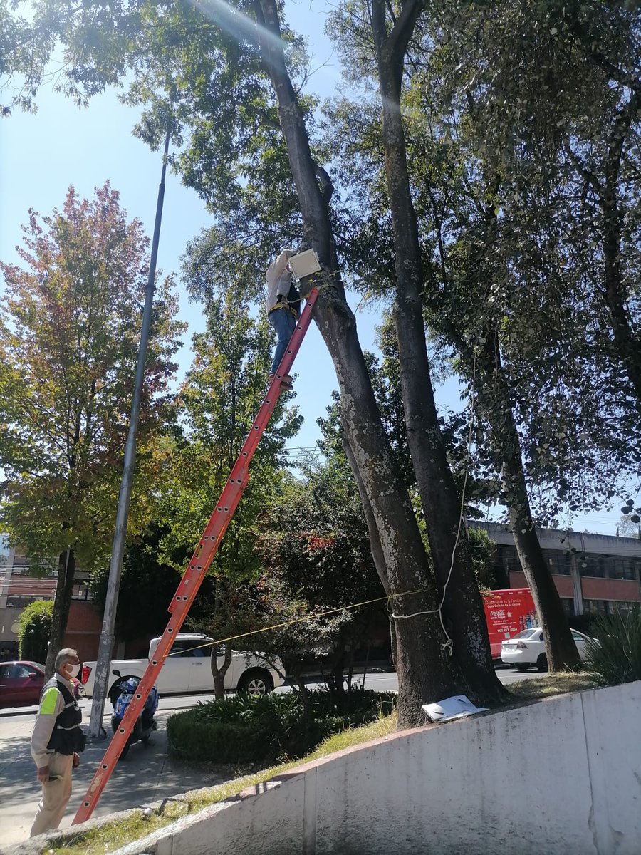 LasAguilasCDMX's tweet photo. Hay mucho pendiente no solo en nuestra zona, sino en todo #ÁlvaroObregón, pero valoramos mucho el que se esté trabajando para mejorar lo que se descuidó. Muchas gracias Alcaldesa @lialimon y a todo el pers9nal encabezado por @jesuslandero75 https://t.co/LFfsV127pN