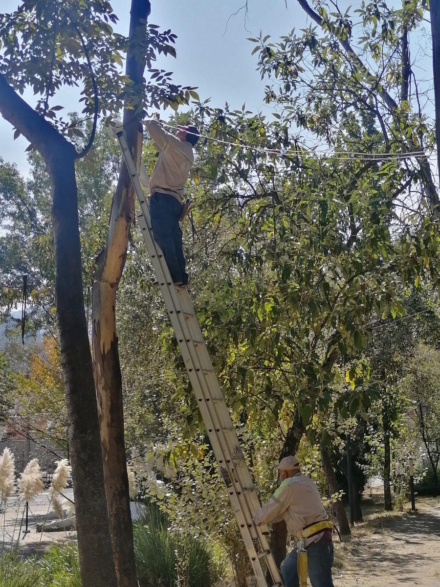 LasAguilasCDMX's tweet photo. Hay mucho pendiente no solo en nuestra zona, sino en todo #ÁlvaroObregón, pero valoramos mucho el que se esté trabajando para mejorar lo que se descuidó. Muchas gracias Alcaldesa @lialimon y a todo el pers9nal encabezado por @jesuslandero75 https://t.co/LFfsV127pN