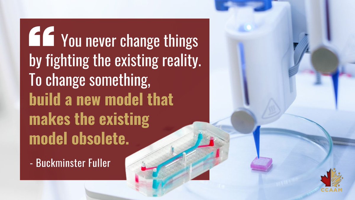 One of the most dangerous phrases in #science is, "We've Always Done It This Way". We're proud to be part of a burgeoning int'l #scientific community that's chosen to put this👇#BuckminsterFuller quote into action instead — developing methods to make #animaltesting obsolete!