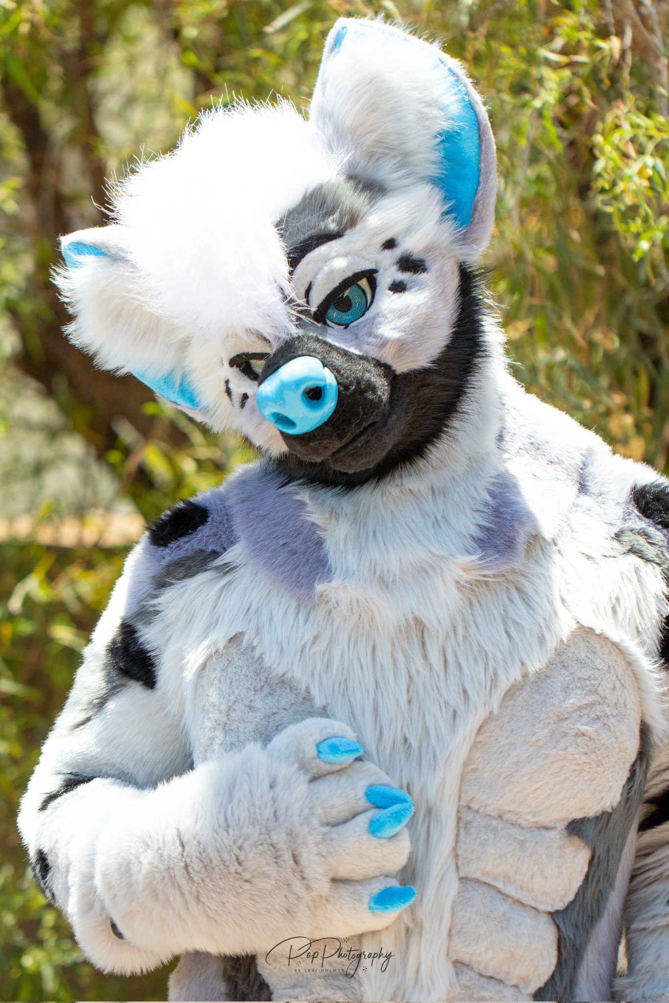 Reno Hyena (@RenoHyena) / Twitter