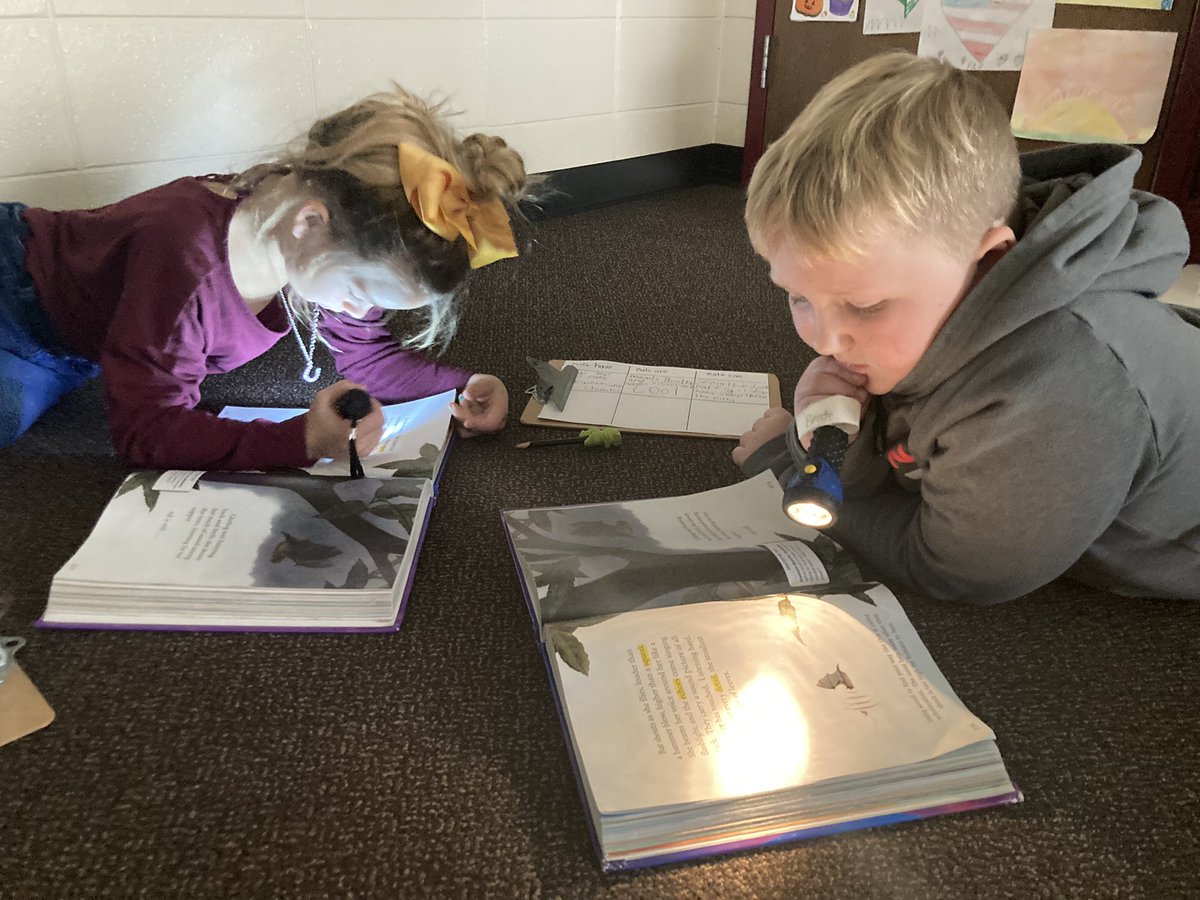 joyspatchek3's tweet photo. The third graders were busy learning about bats while using flashlights in the Bat Cave this week! #goingbatty #flashlightfun #ReedsvilleSD https://t.co/Vp4it5UbsH