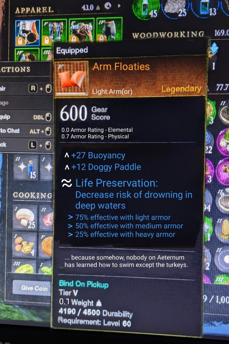 DaxtersMom's tweet photo. @playnewworld Behold, the most coveted item in all of Aeternum.
#LegendaryArmFloaties https://t.co/Em6fug17Xk