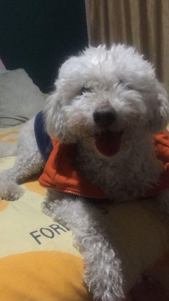 Miguel Murillo tweet media