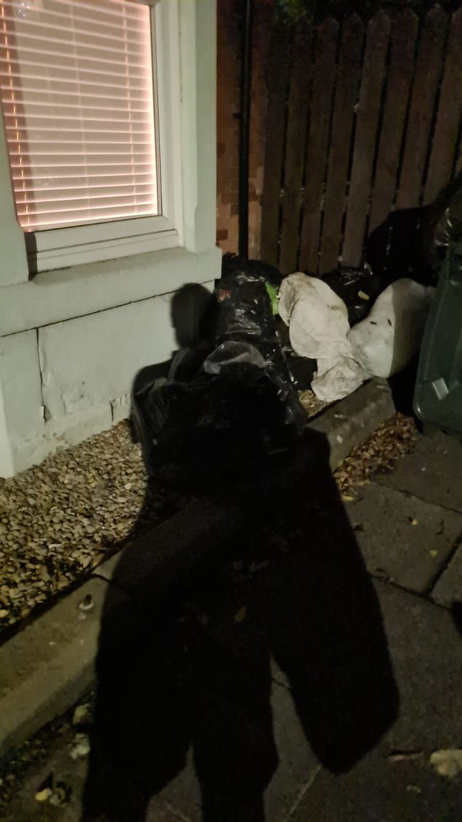 EndASBinJesmond's tweet photo. @StudentCribs - many of your houses seem to come with numerous waste issues and high chances of vermin. Clean up your act!! #Studentslums #EndASBinJesmond #myNCLpics @UniofNewcastle @NorthumbriaUni @NewcastleCC https://t.co/biDUPTqhDl