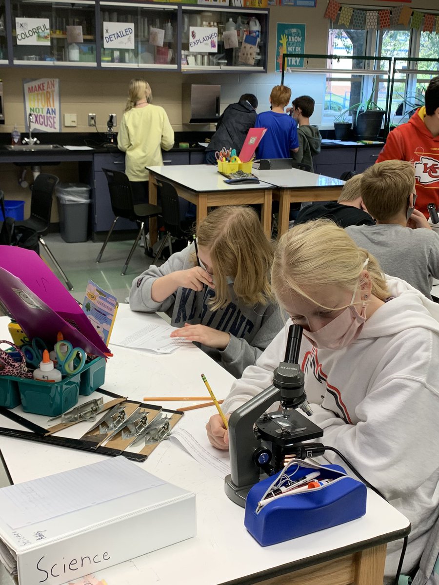 Mazzapica’s 7th graders experimenting with Hydras, Onions, and Elodeas to learn about the traits of plant and animal cells.