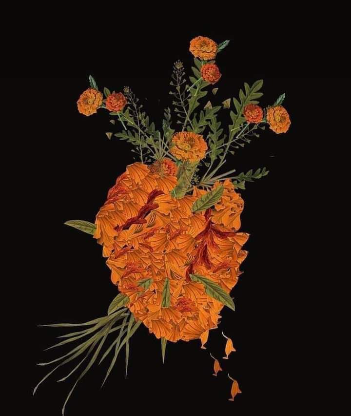 Prohibido irnos sin antes vivirnos ☠️☠️✨… ✋🏼

(Photo cred. -unknown)