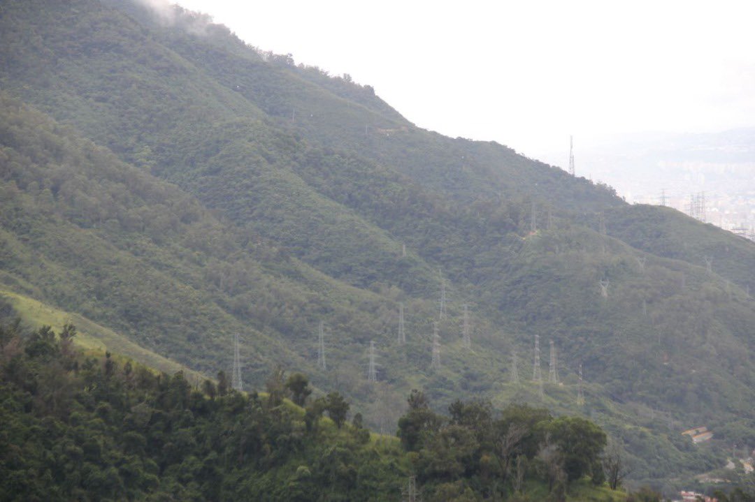 luciaeugenia's tweet photo. Esta es mi Caracas con su Waraira empinado, derrochando verde y cantos de animales. Con su lucidez, dormida o despierta; a ratos con desasosiego porque quisiera ser #CaracasEcologica. Si nos juntamos con afán y una hoja de ruta clara, podemos lograrlo. #YoCuidoCaracas https://t.co/A9aPkCUZLy