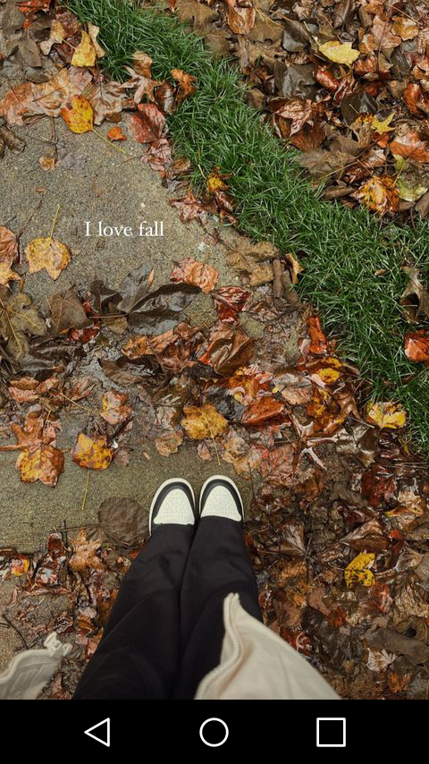 Rochelle_QT's tweet photo. I 💗 Fall! 🍁🌾🌿🍂🍃🍃💗 #MNFall #AutumnFalls https://t.co/oLWTvW6Kwp