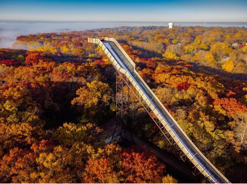 Rochelle_QT's tweet photo. I 💗 Fall! 🍁🌾🌿🍂🍃🍃💗 #MNFall #AutumnFalls https://t.co/oLWTvW6Kwp