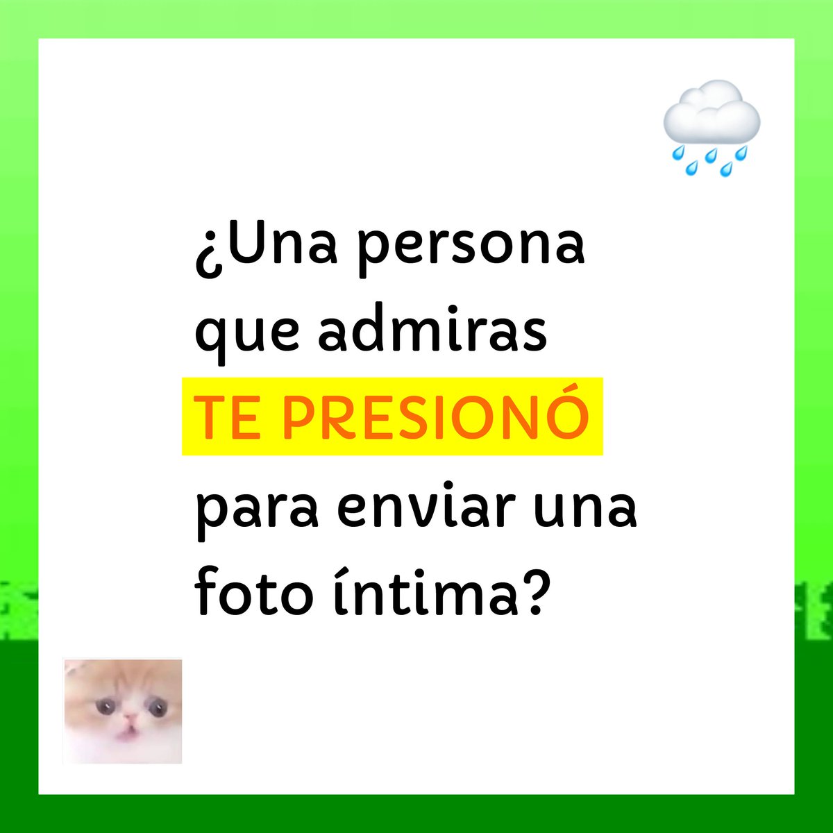 SINTRATA A.C. tweet media