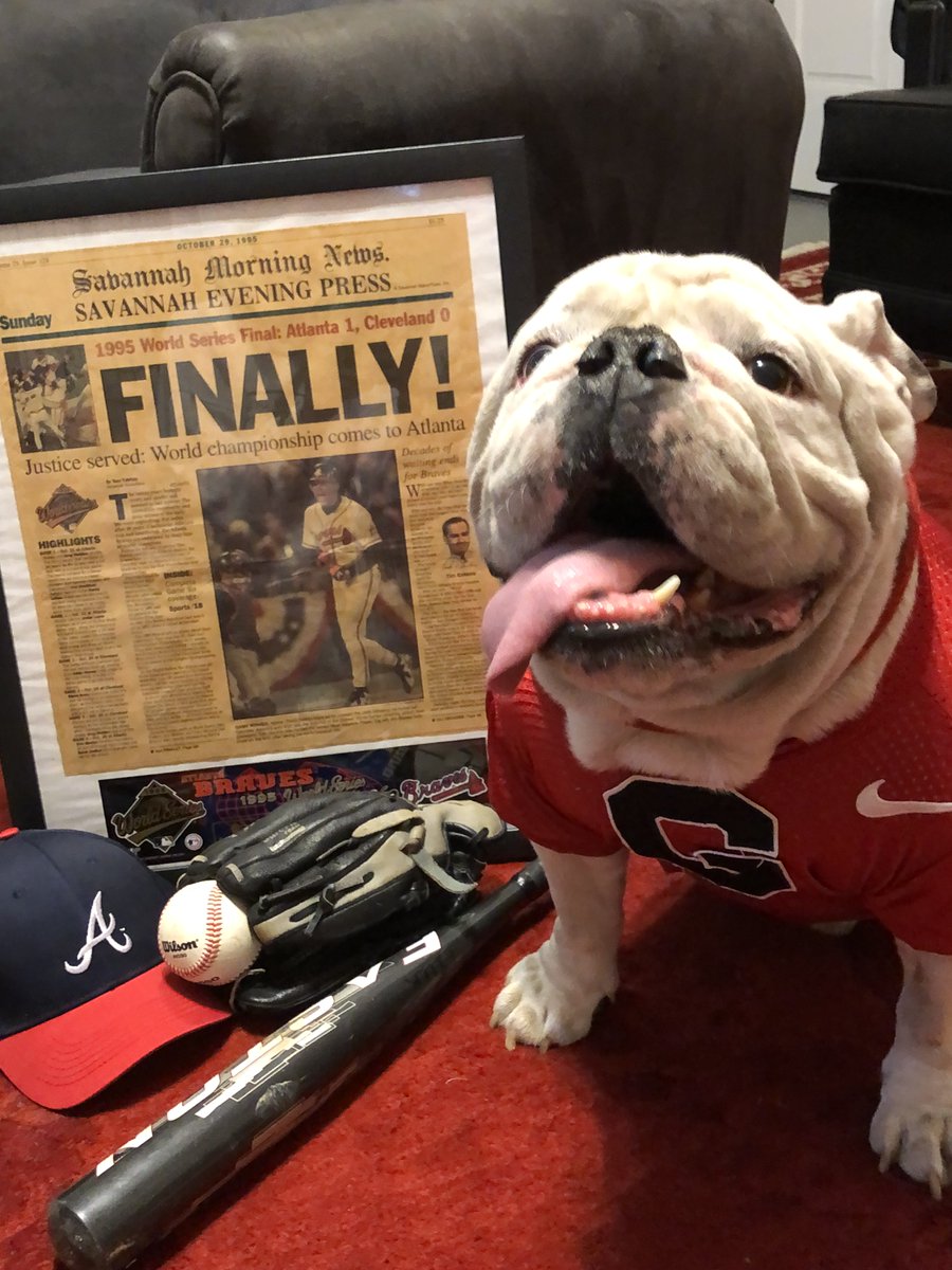 Georgia Bulldogs tweet media
