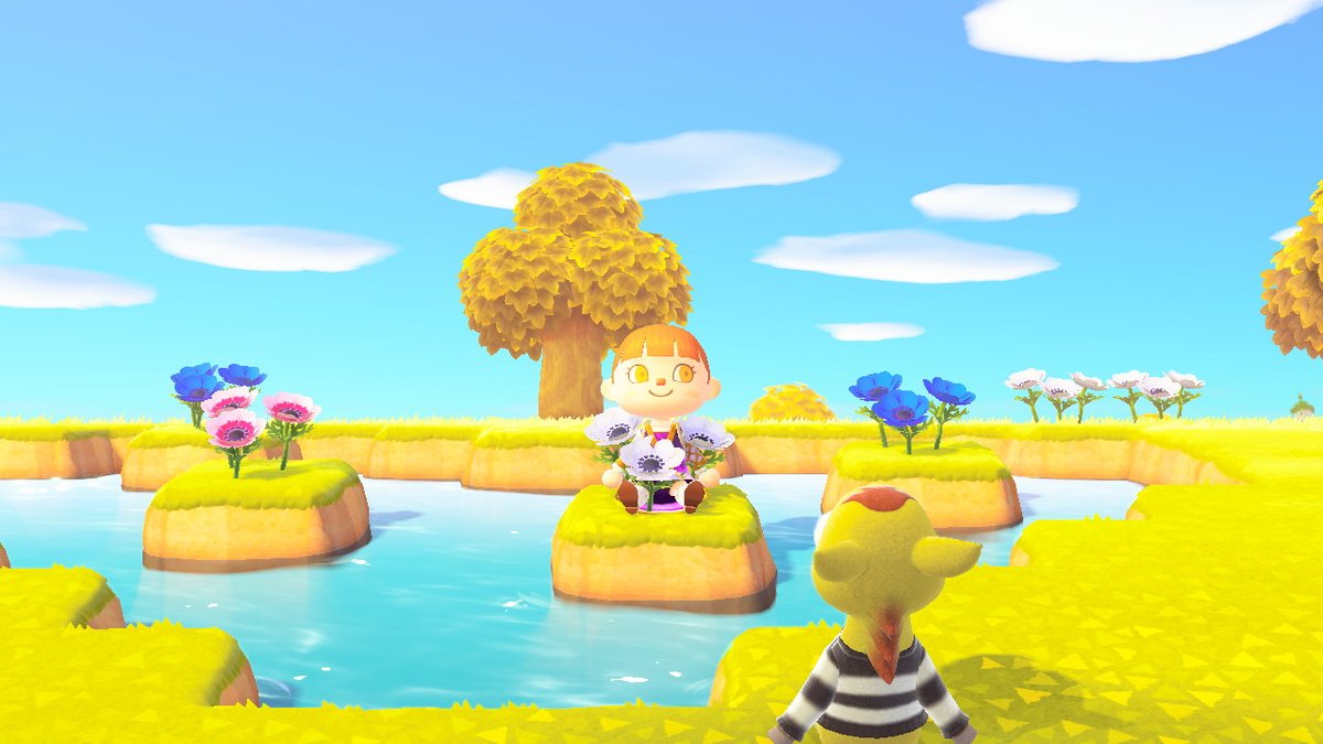 AprilstarrAC's tweet photo. #AnimalCrossing #ACNH #NintendoSwitch https://t.co/jbOVzQwFP6