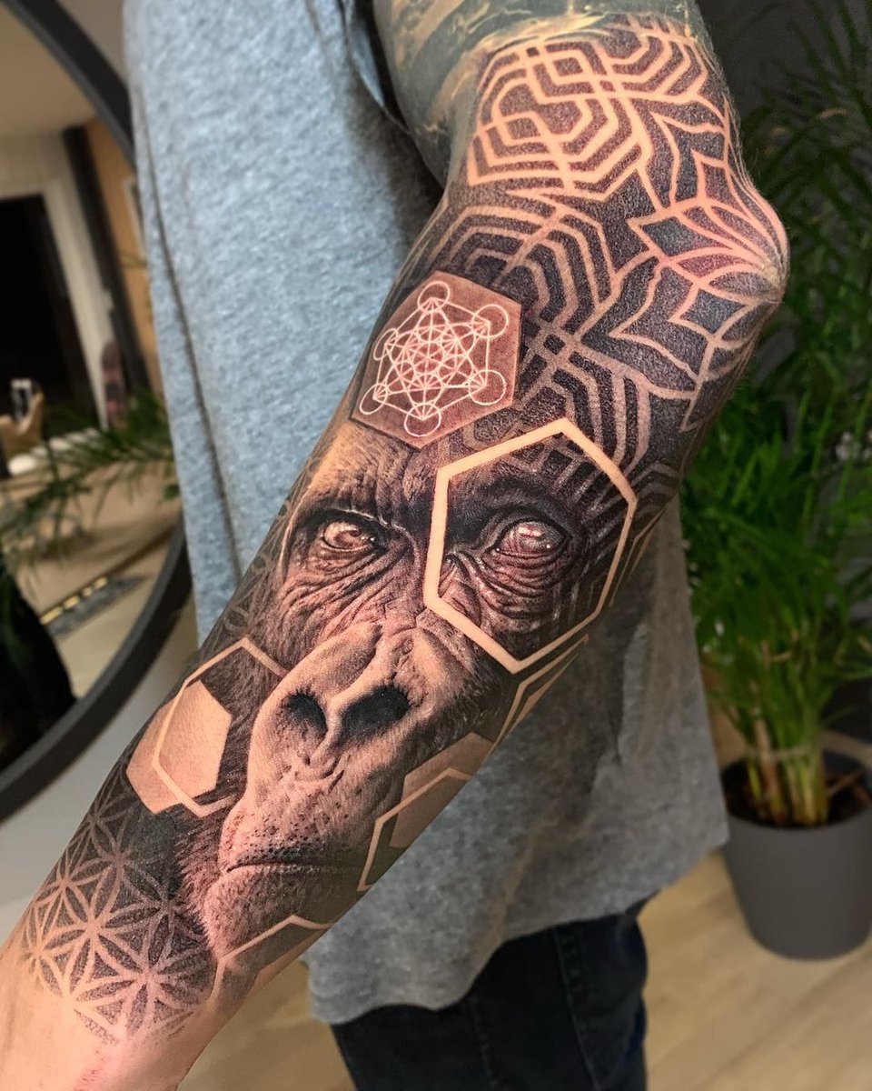 Illustration, ferocious gorilla head with sacred geometry 2797147 Vector  Art at Vecteezy, image size:960x1200