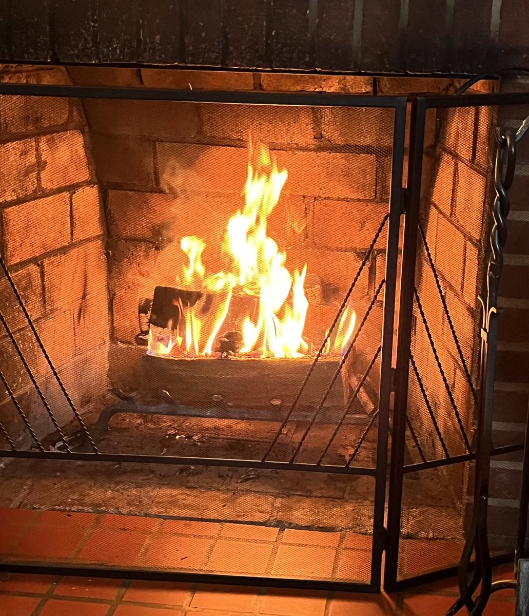 SonyaFinley's tweet photo. I can home to find that this household season has officially begun. How lovely. https://t.co/5AZUzmM9m9