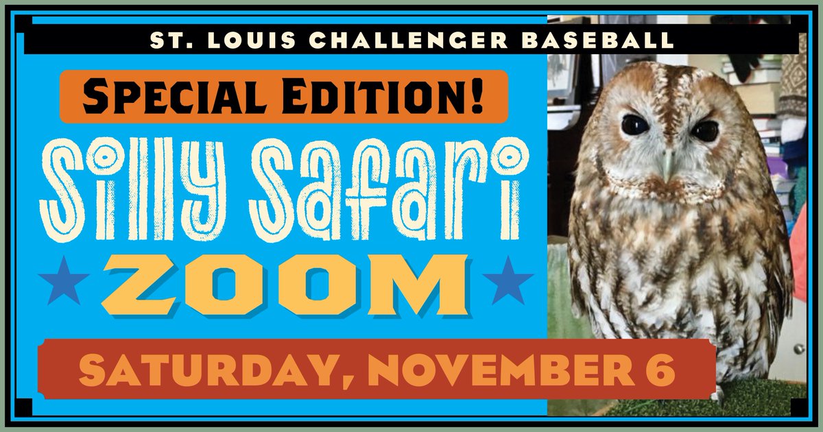 It's a Special Edition Silly Safari! Join us this Saturday morning, November 6th from 10:00 am to 10:30 am for our sillysafaris.com Zoom party. We'll see more interesting animals and learn some fun facts about them. Just click the link in your email on Saturday morning!