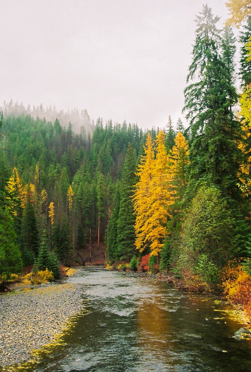 max 🏔🌞 tweet media