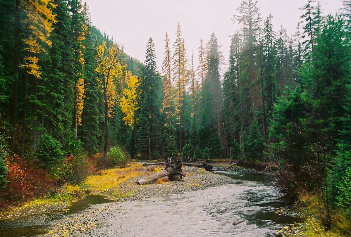 max 🏔🌞 tweet media