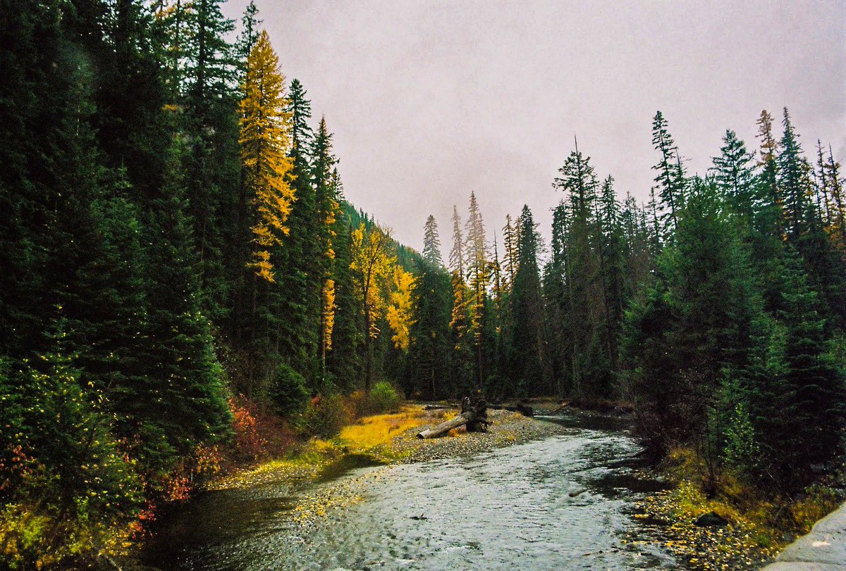 max 🏔🌞 tweet media