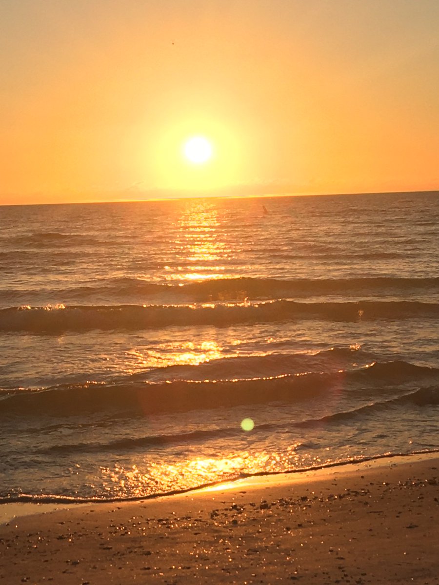 Ani Crane tweet media