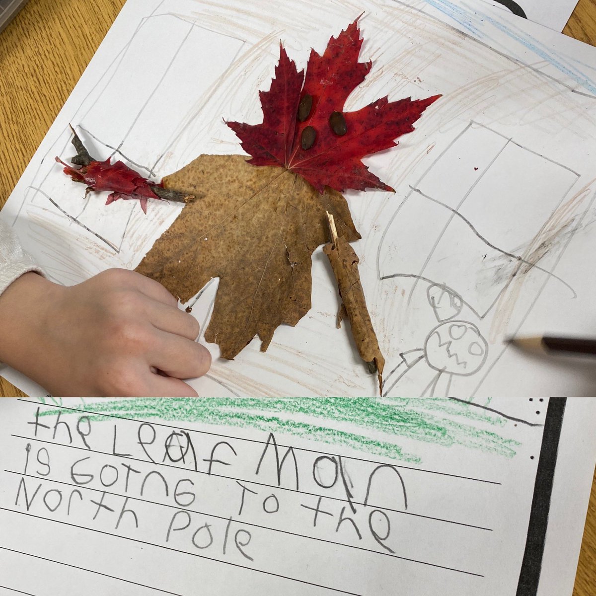 heatherimrie's tweet photo. Today we read “Leaf Man” by Lois Ehlert. We loved the creativity of the illustrations and recognized many of the animals created by leaves. Students collected leaves &amp; other items from nature to create their very own leaf “thing”. Students wrote about where their character went! https://t.co/xpPZvXv9AN