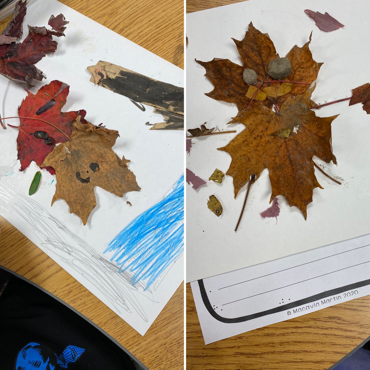 heatherimrie's tweet photo. Today we read “Leaf Man” by Lois Ehlert. We loved the creativity of the illustrations and recognized many of the animals created by leaves. Students collected leaves &amp; other items from nature to create their very own leaf “thing”. Students wrote about where their character went! https://t.co/xpPZvXv9AN
