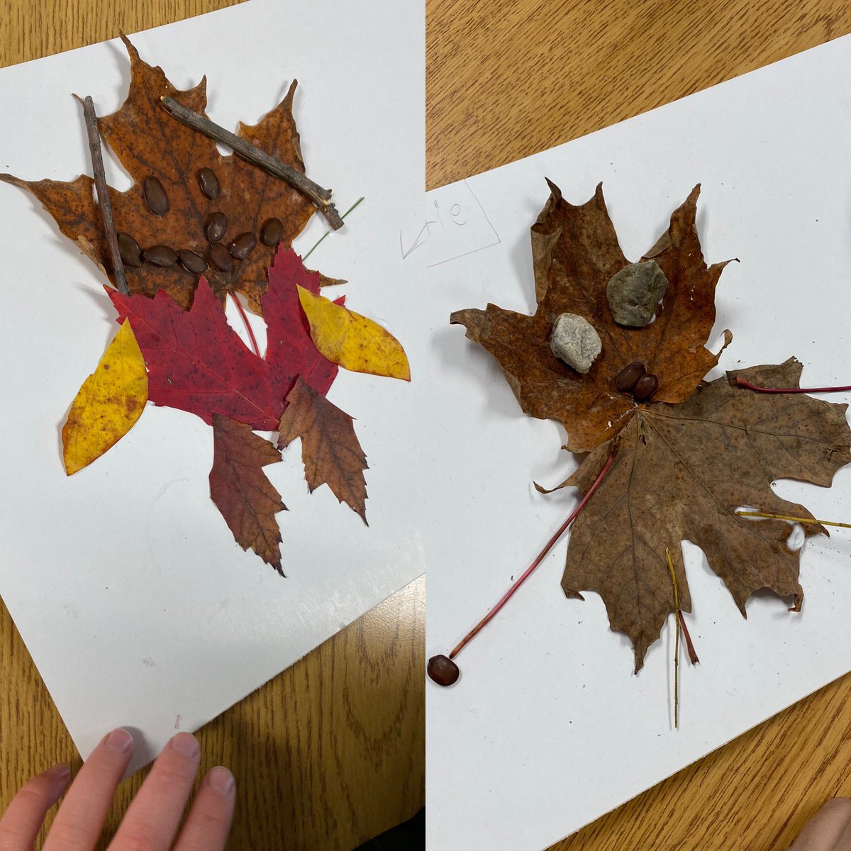 heatherimrie's tweet photo. Today we read “Leaf Man” by Lois Ehlert. We loved the creativity of the illustrations and recognized many of the animals created by leaves. Students collected leaves &amp; other items from nature to create their very own leaf “thing”. Students wrote about where their character went! https://t.co/xpPZvXv9AN