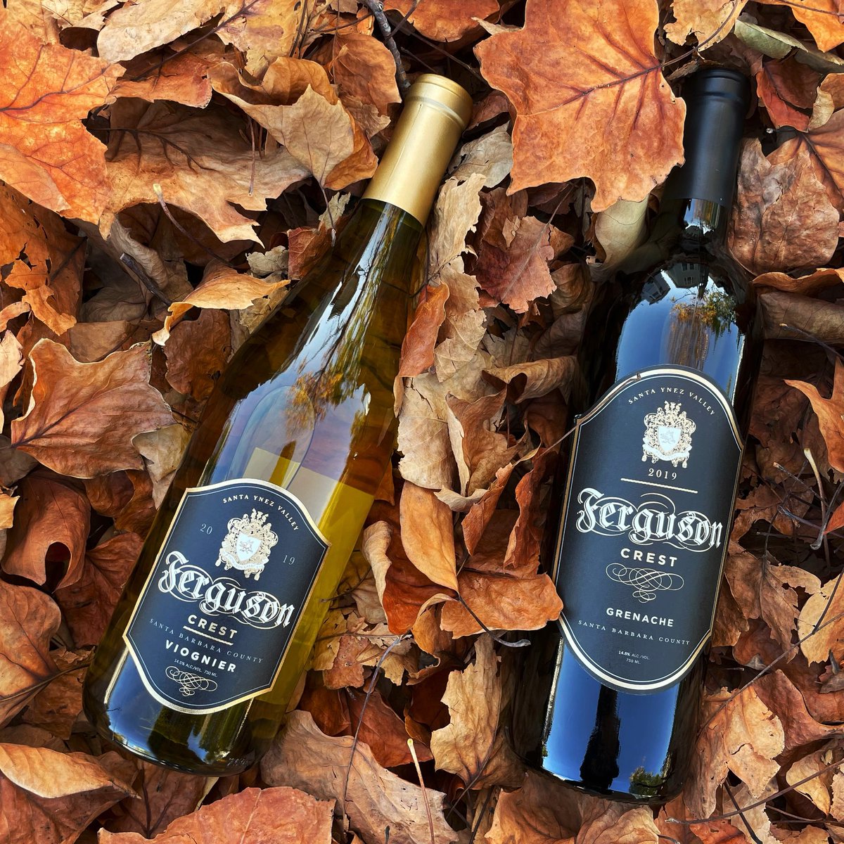 FergusonCrest's tweet photo. Autumn Leaves & #Wine Please! Enjoy #FREEshipping on all orders $50+ thru 11/7. ππ·π¦ #fergusoncrest #redwine #grenache #whitewine #viognier #2019wine #sweetwine #familywine #fallwine #wineplease #winedelivery #winelover https://t.co/iAckCTezTK https://t.co/XvMh2xFGdQ