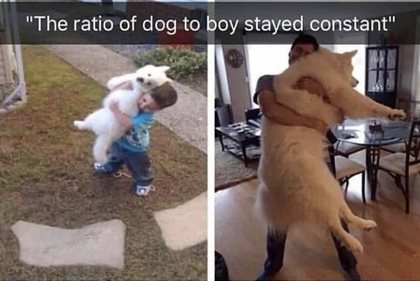 WholesomeMeme's tweet photo. https://t.co/uEXLwkMHgA