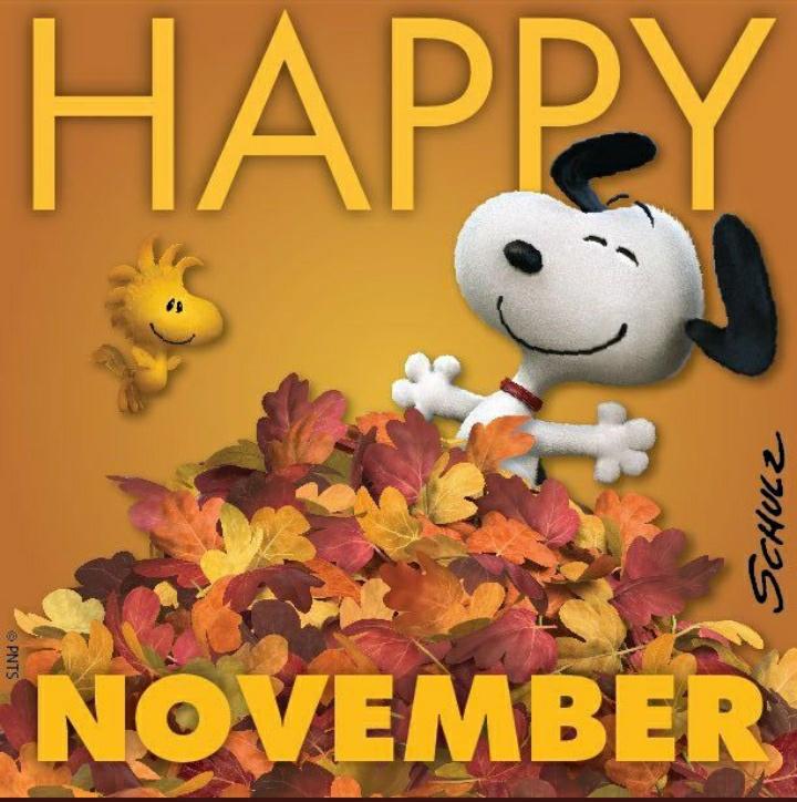 ZoryAntequera's tweet photo. @RealVirendraBJP @Yulezx @dansfc_ @F1TOTTI @Eles26 @ma_yeth @ToteronT @CaP21B @jc76 @javi09_12 @moni14908 @Angel44015204 @Naho80299188 @Magdale_Aguilar @GuadulupeL @ElVascoGus @fclavijonunez @Jemaco40 @teamdinamicas @Klaytonoliver Thanks!
#sdv💯
#FollowBackFast💯 https://t.co/gqrCLIl6xp
