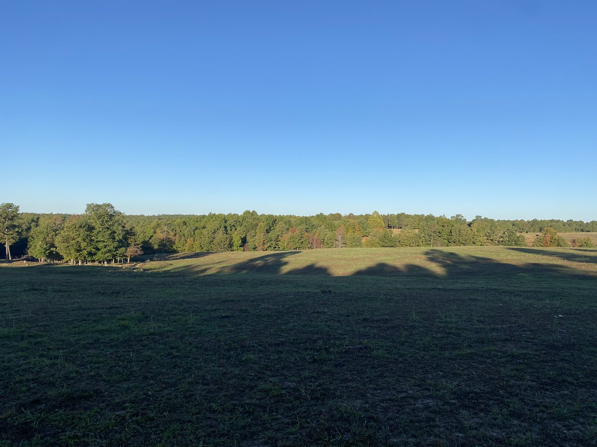 _pinegroveranch's tweet photo. Got to visit the farm recently. It’s beautiful but lots needs to change. I need to write up a pasture plan to show the rest of the family soon https://t.co/eHqdbrieJY