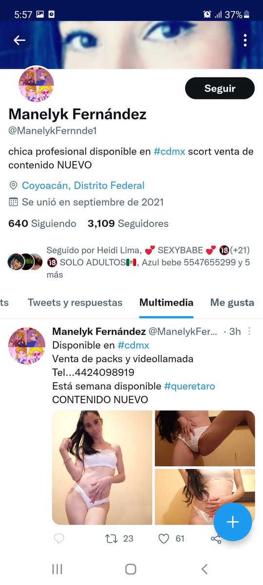 KarosP24521153's tweet photo. @BIGGUN_1978 @Freelover_69 @Fernand83431243 @resurgiendo25 @Vlad_zxy @NueveWaland @Elcatadorvip @LoboChico3 @Im_Fuhrer_ @REdoscero @alideli @GConnorW @predatorzd @Incoqro @ScortsReportes @Justice69All  @BelgianClown @SrTDurdn @ReportesScorts https://t.co/hXik6rN763