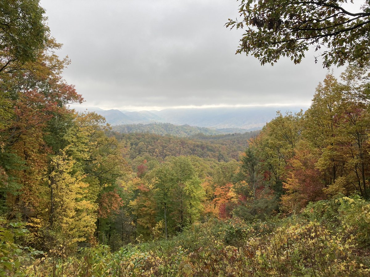 So glad to have <a href="/brat_i/">Ilia Gelfand</a> from <a href="/bengurionu/">Ben-Gurion University of the Negev</a> visiting <a href="/UTKnoxville/">UT Knoxville</a> as part of our ongoing BARD <a href="/BDevelopm/">BARD US Israel Binational Agricultural R&D</a> project. Hectic week but we managed a day out with 8 miles of hiking in the colorful Great Smoky mountains 🏔