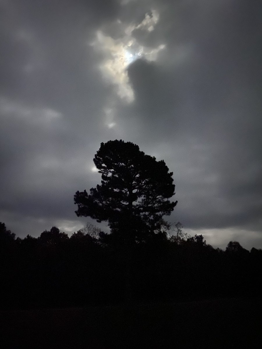 pinegroveguild's tweet photo. Those who seek a glimpse of Gaia will see sacred things #nature #motherearth #gaia https://t.co/DnZya3kV1z