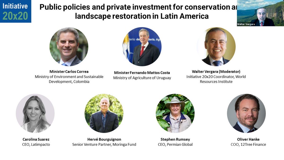 Walter Vergara tweet media