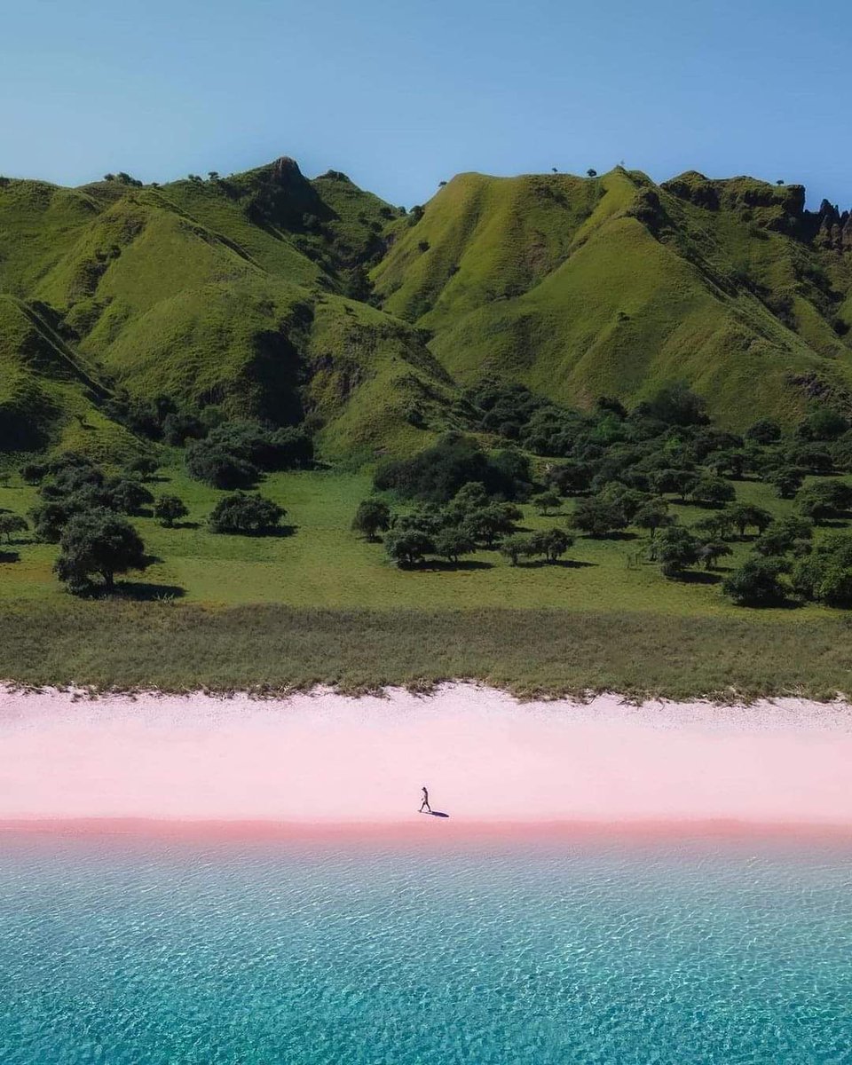 HoldenKlasik's tweet photo. 📸 : @manksayoga
📍  Pink Beach - Labuan Bajo - NTT https://t.co/K4Un5Zd3uv