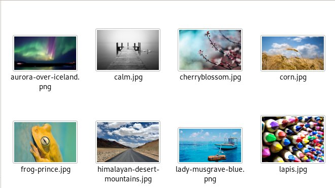 António Fernandes tweet media