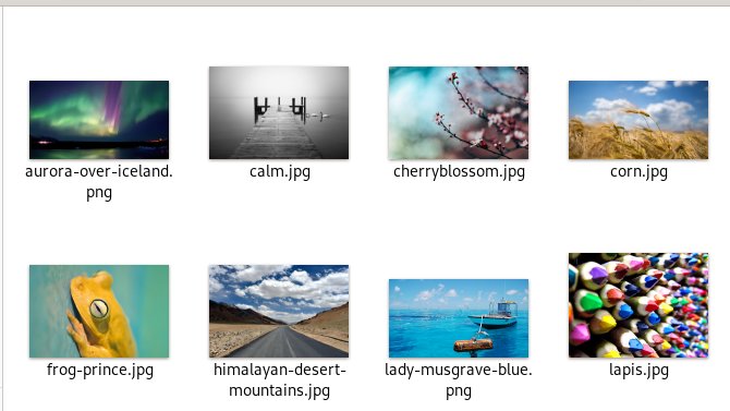 António Fernandes tweet media