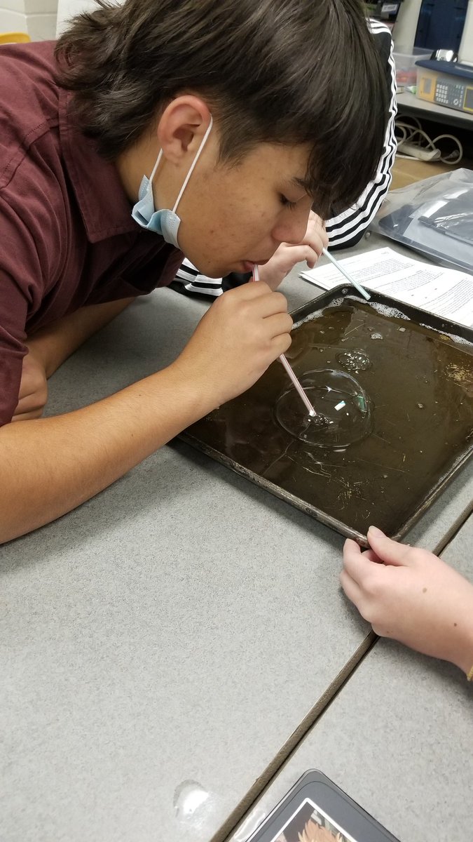 Katrina McGrady tweet media