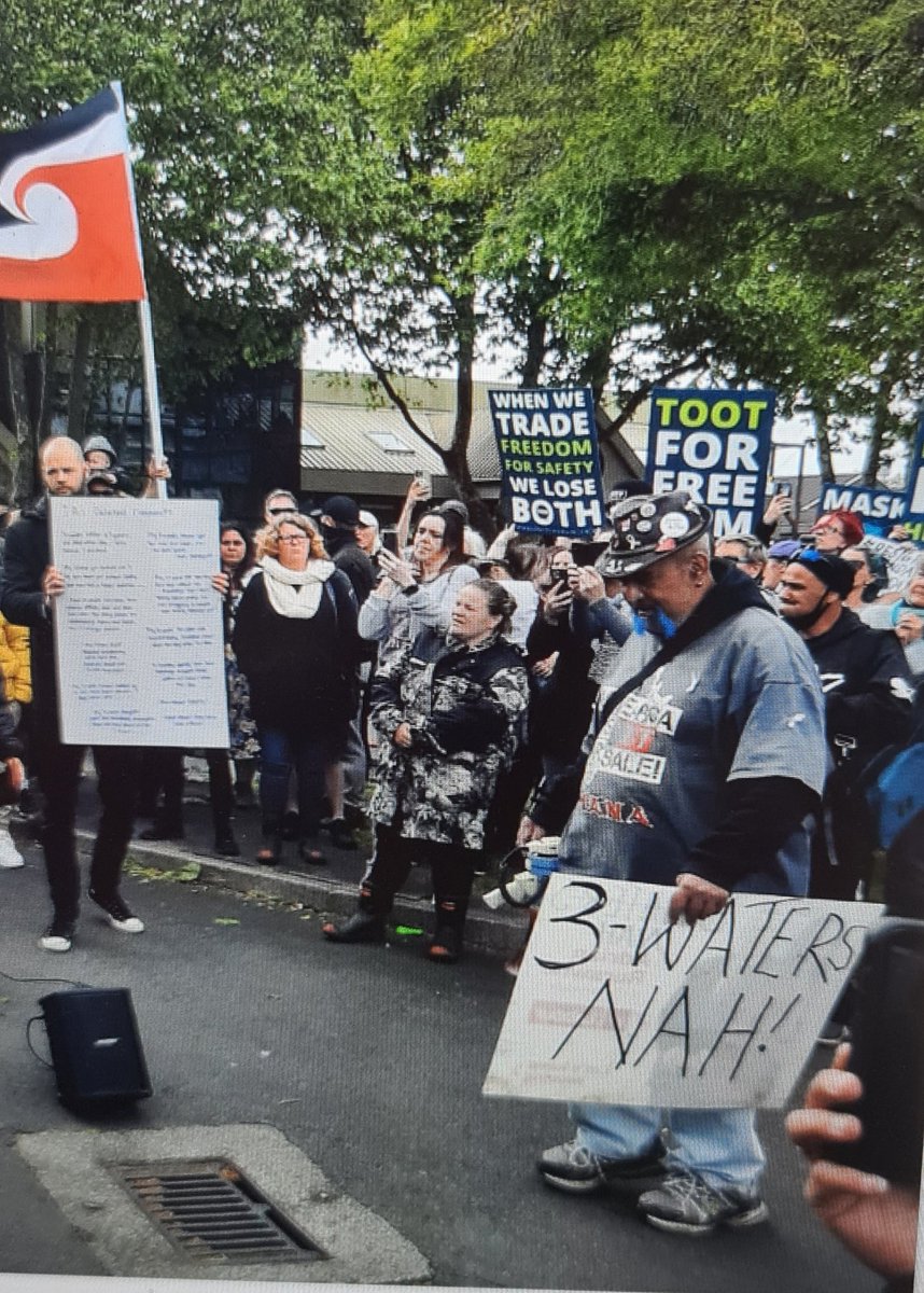 Mihi_Forbes's tweet image. Wearing a Mana Party tee, holding an anti 3-waters sign made out of an old Labour Party election hoarding for @adrianrurawhe with a Whakaputanga badge on his hat. This is 2021 whānau.