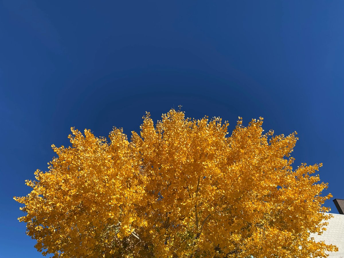 NMvesperteam's tweet photo. send some love to colin y’all he’s recovering from an appendectomy (his appendix decided to fight him) but here’s a picture of the sky i think he would enjoy @vesperteen https://t.co/HEHoK2Df5r