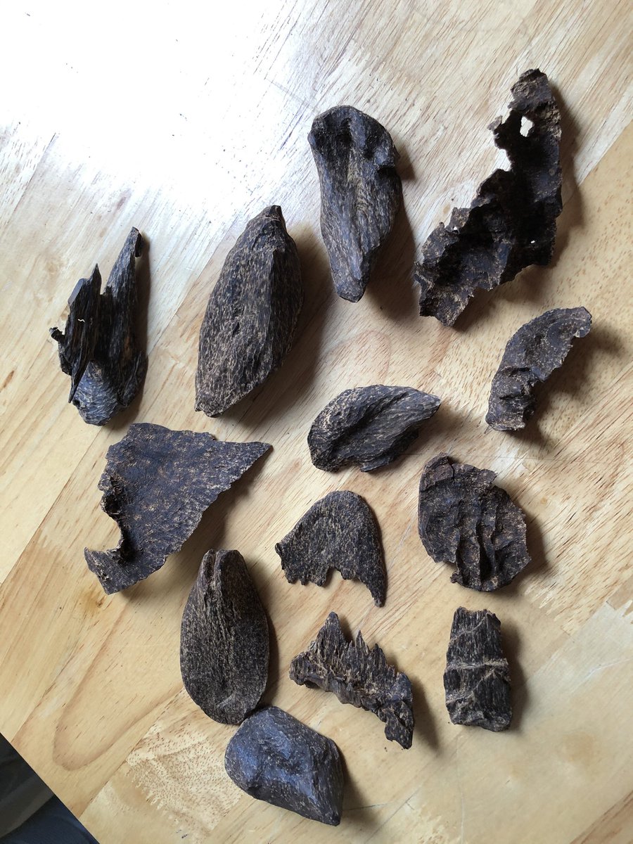 agarwood48st's tweet photo. UNDERWATER 💧
Very Sweet Smell
Pursat Cambodia 🇰🇭
Natural Oud 🌳
Whatsapp 📲
+855 89 704 476
#oud #oudh #agarwood #cambodiaoud #dubaioud #kuwaitoud #qatar #oman #bestoud #arabicoud #araboud #incense #kuwait #uae #royaloud #UAE #Saudiarabia https://t.co/NVU5YTJ1nY