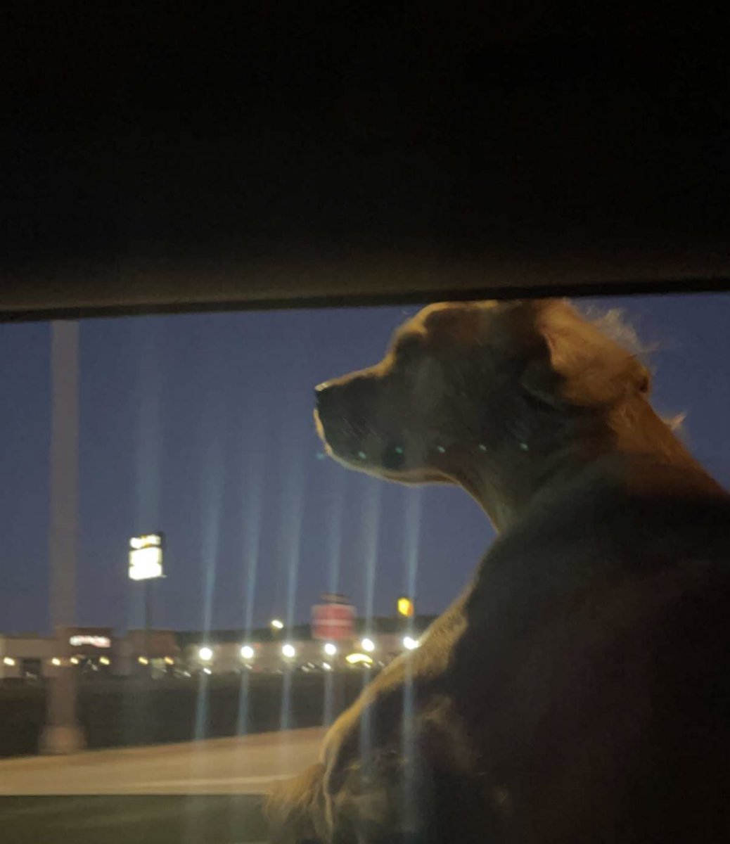 nichelob ultra tweet media